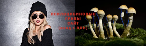 каннабис Пестово