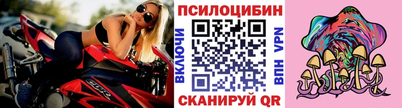 продажа наркотиков  блэк спрут ТОР  Галлюциногенные грибы прущие грибы  Сурск 
