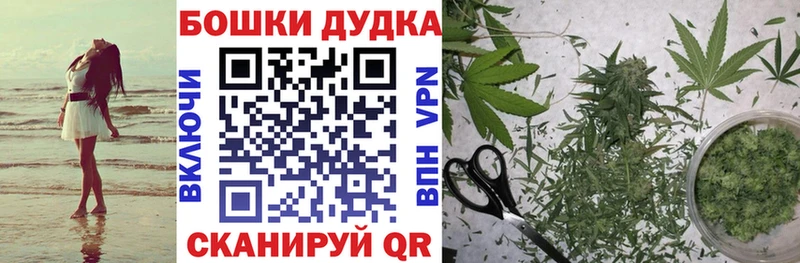 Бошки Шишки планчик  Сурск 